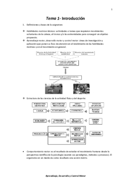 Tema 1- Introducción.pdf