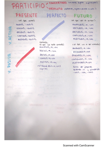 participio-en-latin.pdf
