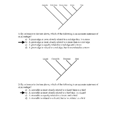 Ejercicio-2-evolutiva.pdf