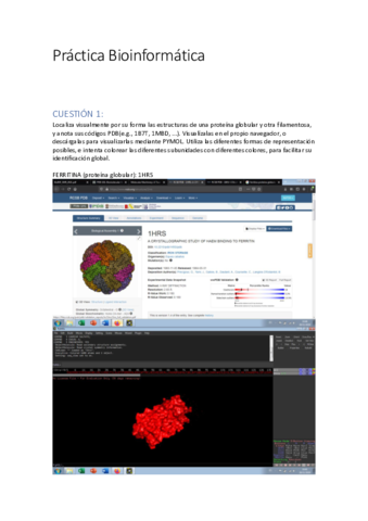 Practica-bioinformatica.pdf