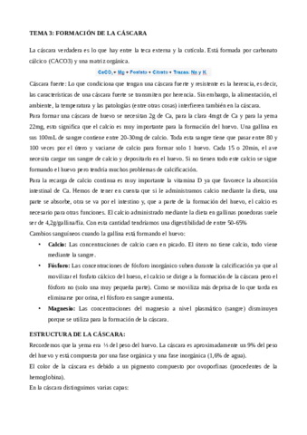 AVIAR-T3-formacion-de-la-cascara.pdf