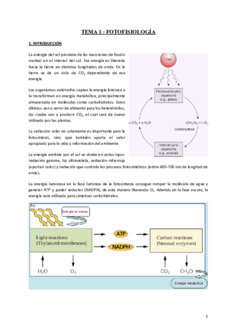 Tema-1-Fotofisiologia-ACABADO.pdf