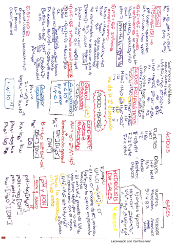 acido-base.pdf