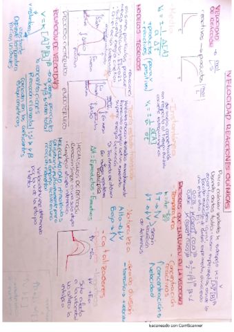 velocidad-reacciones-quimicas.pdf