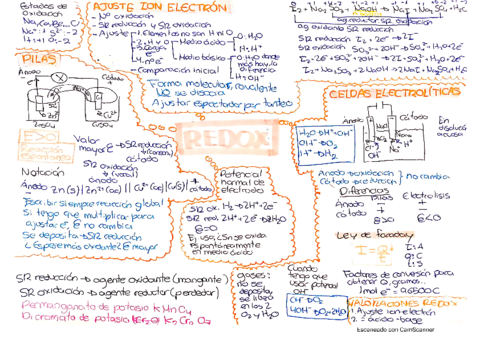 Redox.pdf