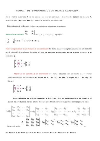 TEMA-II-DETER.pdf