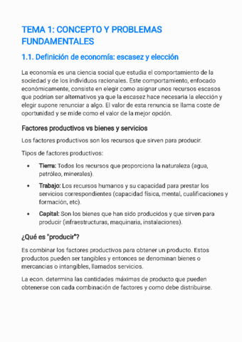 Tema-1-economia.pdf