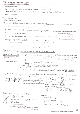 T5-fisica-ll.pdf