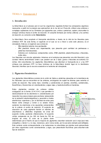 TEMA-1-Vegetal.pdf