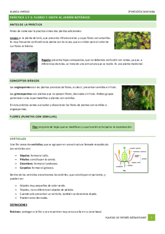 PRACTICA-1-FLORES-Y-JARDIN-BOTANICO.pdf