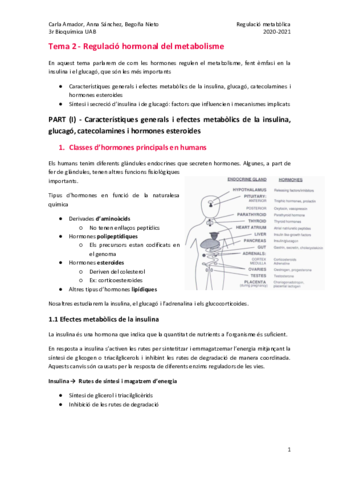 Tema-2-Classe-4.pdf