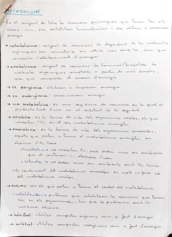 Bloc-Metabolisme.pdf
