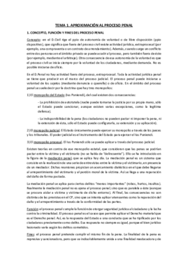 tema 1 procesal penal- apuntes.pdf