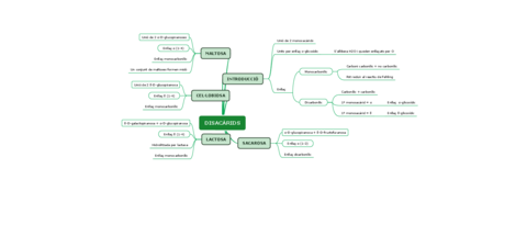 DISACARIDS.pdf