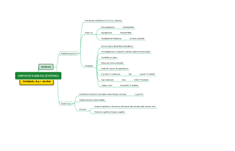 SAPONIFICABLES-ESTERS.pdf