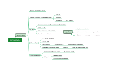 ESTRUCTURA-2.pdf