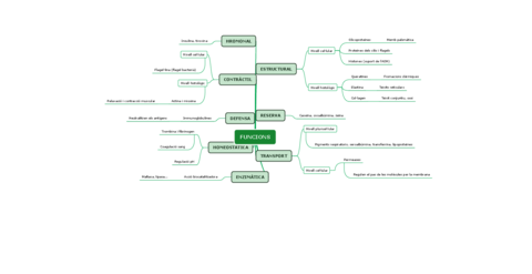 FUNCIONS-2.pdf