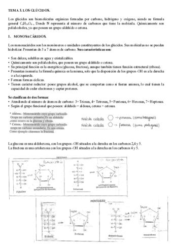 BLOQUE 1 -  T3. LOS GLÚCIDOS.pdf