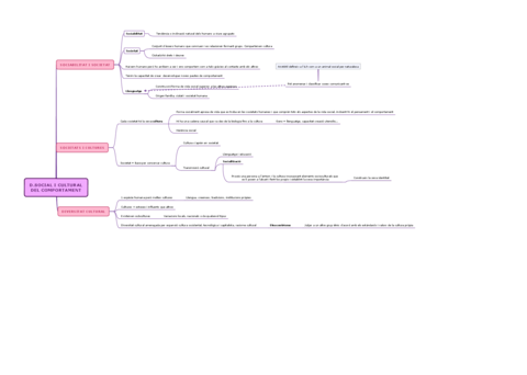 D-SOCIAL-I-CULTURALDEL-COMPORTAMENT-1.pdf