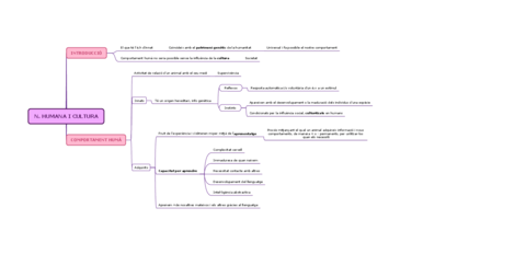 N-HUMANA-I-CULTURA-1.pdf