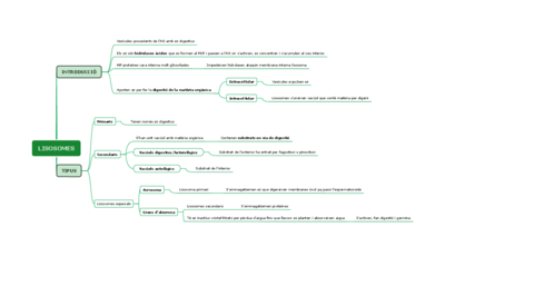 LISOSOMES-1.pdf