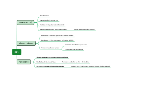 REL-1.pdf