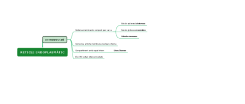 RETICLE-ENDOPLASMATIC-1.pdf