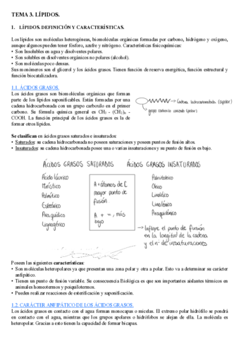 BLOQUE 1 - T 3. LOS LÍPIDOS.pdf