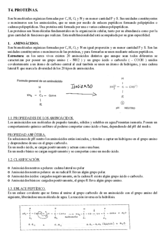 BLOQUE 1 - T4. PROTEÍNAS.pdf