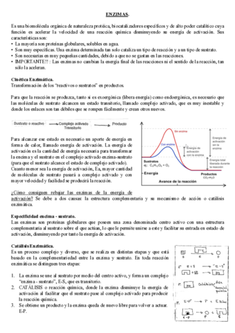 BLOQUE 1 - ENZIMAS.pdf