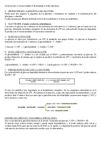 BLOQUE 2 - CATABOLISMO, ANABOLISMO, FERMENTACIONES.pdf