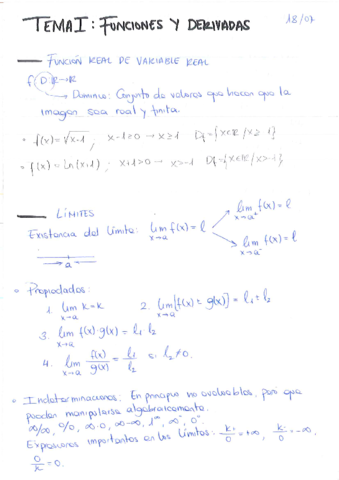Tema 1 Funciones y derivadas (Calculo).pdf