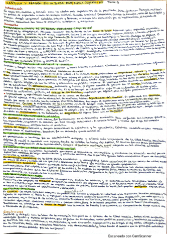 Tema-3-cortos.pdf
