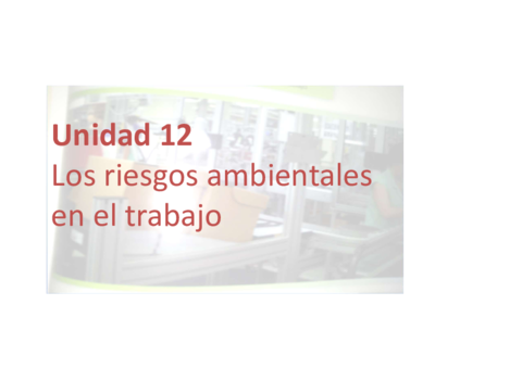 TEMA-12.pdf