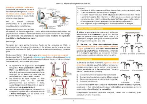 Tema-10.pdf