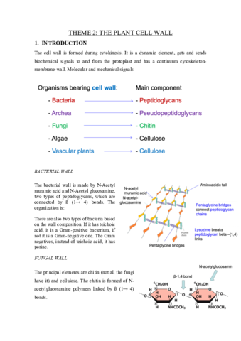 THEME-2-the-plant-cell-wall.pdf