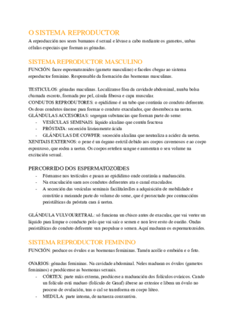ANATOMIA-SIST.pdf