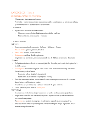 ANATOMIA-T-4.pdf