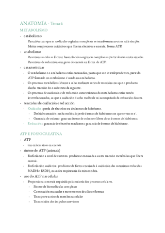 ANATOMIA-T-6.pdf