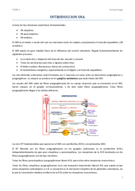 TEMA 1.pdf