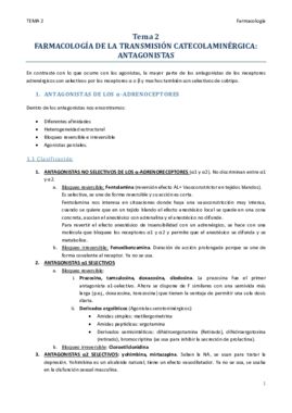 TEMA 2.pdf