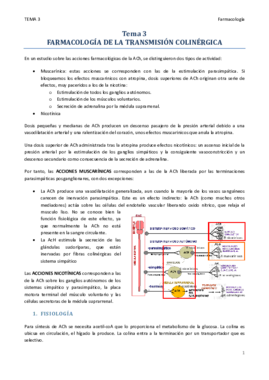TEMA 3.pdf