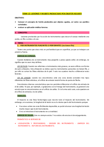 TEMA-12-OBJETOS-AGUDOS.pdf