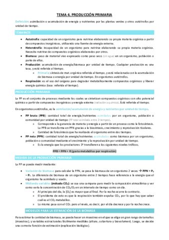 TEMA-4.pdf