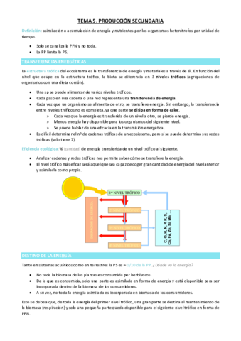 TEMA-5.pdf