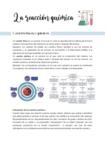 La-reaccion-quimica-1.pdf