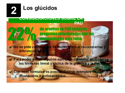 Los-glucidos-2013.pdf