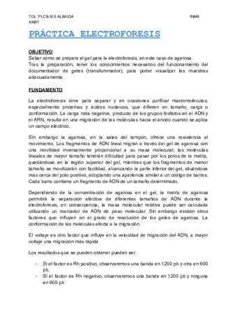 Practica-electroforesis-LCB-B.pdf
