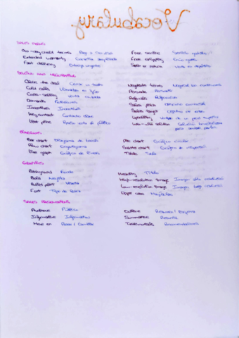 vocabulario-ingles-7.pdf