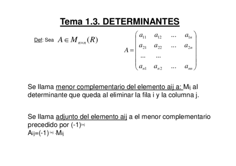 Tema 1.3 Determinantes.pdf